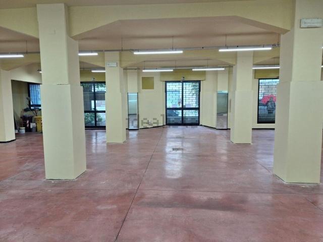 Locale Commerciale in affitto a Querceto, Sesto Fiorentino