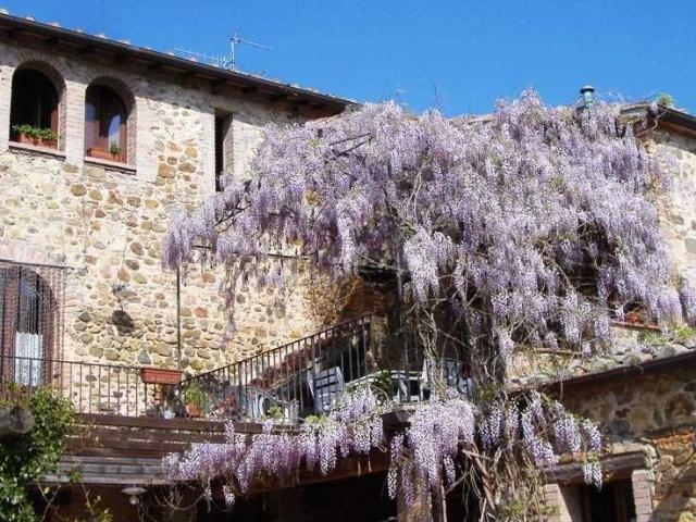 Casa in vendita a Cinigiano, Toscana