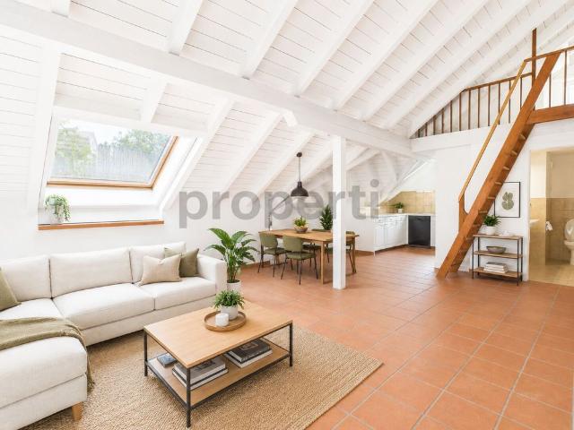 Apartment mieten in Beringen, Schaffhausen