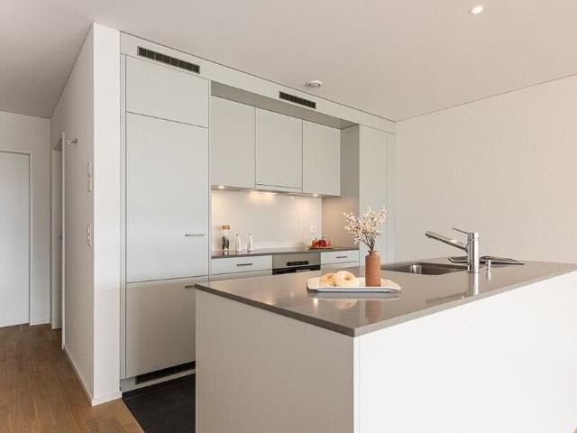 Apartment mieten in Rapperswil-Jona, St. Gallen