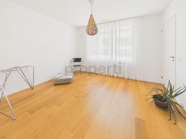 Apartment mieten in Windisch, Aargau