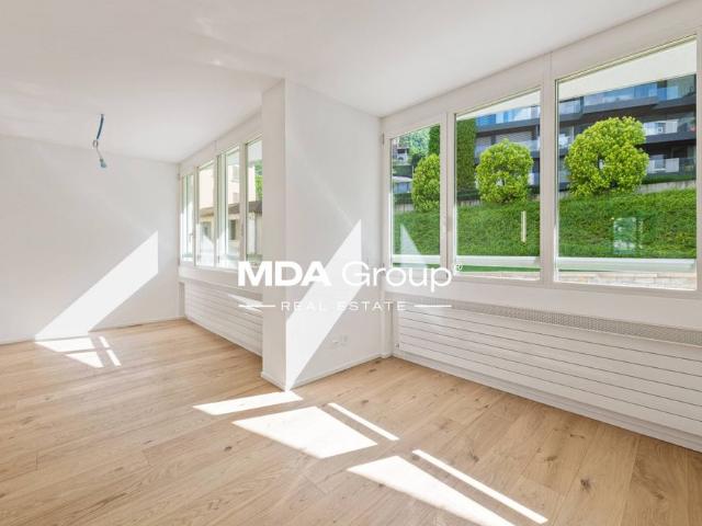 Apartment mieten in Paradiso, Tessin