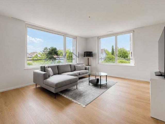 Apartment mieten in Windisch, Aargau