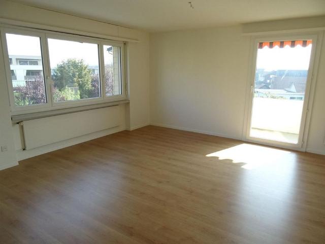 Apartment mieten in Widnau, St. Gallen