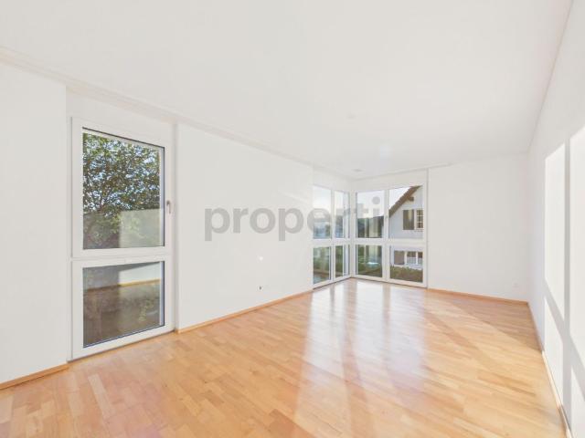 Apartment mieten in Dachsen, Zürich