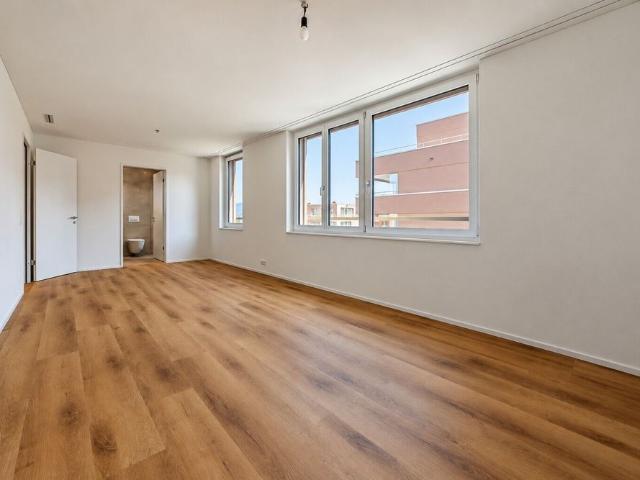 Apartment mieten in Schübelbach, Schwyz