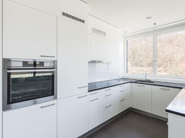 Apartment mieten in Baden, Aargau