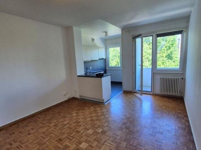 Apartment mieten in Aïre