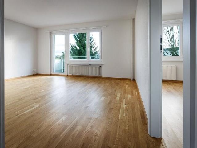 Apartment mieten in Gerlafingen, Solothurn