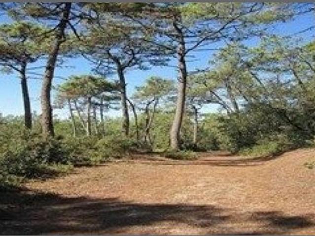 Local Commercial vente à Les Sables-d'Olonne, Château-d'olonne