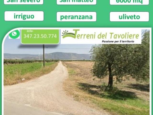 Terreno in vendita a Puglia, Foggia