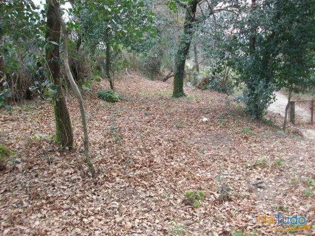 Terreno venda em Póvoa De Lanhoso, Braga