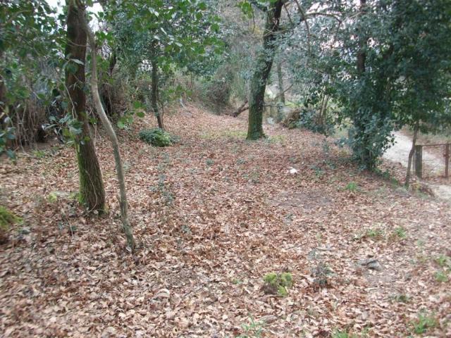 Terreno venda em Serzedelo, Guimarães