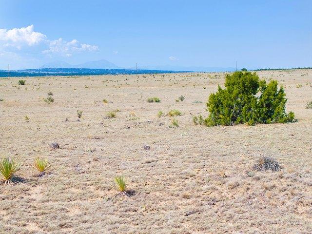 Land for sale in Colorado
