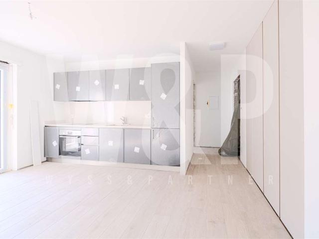Apartment mieten in Locarno