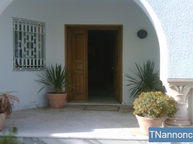 Appartement location
