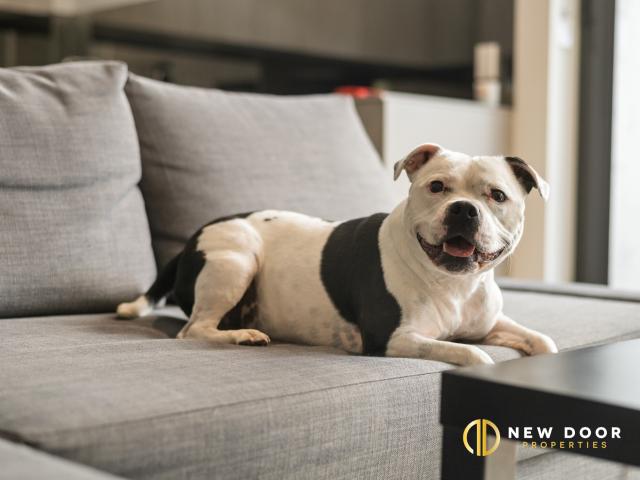 Apartment for sale in Lyneham, Australian Capital Territory