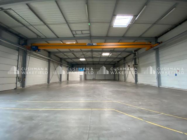 Local Commercial location à Haguenau-Wissembourg, Haguenau