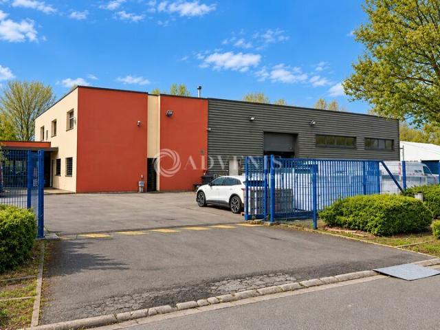 Local Commercial location à Cuincy, Nord