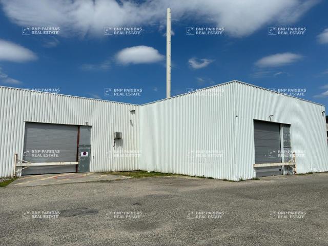 Local Commercial location à Bordeaux, Pessac