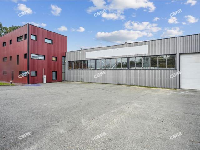 Local Commercial location à Bordeaux, Cadaujac