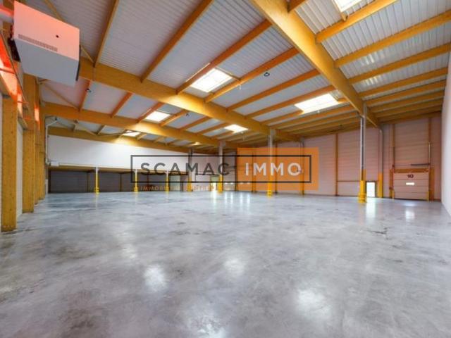 Local Commercial location à Torcy, Brie-comte-robert