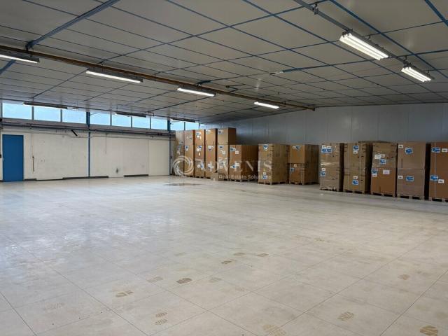 Local Commercial location à Strasbourg, Breuschwickersheim
