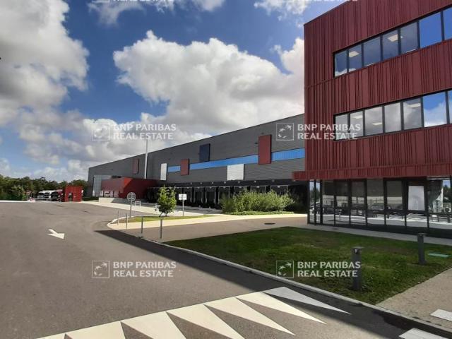 Local Commercial location à Châteaubriant-Ancenis, Héric