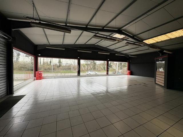 Local Commercial location à Strasbourg, Illkirch-graffenstaden
