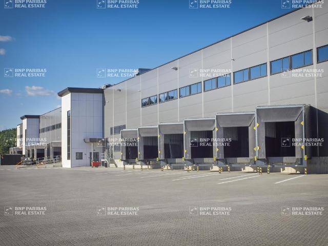 Local Commercial location à Castres, Occitanie