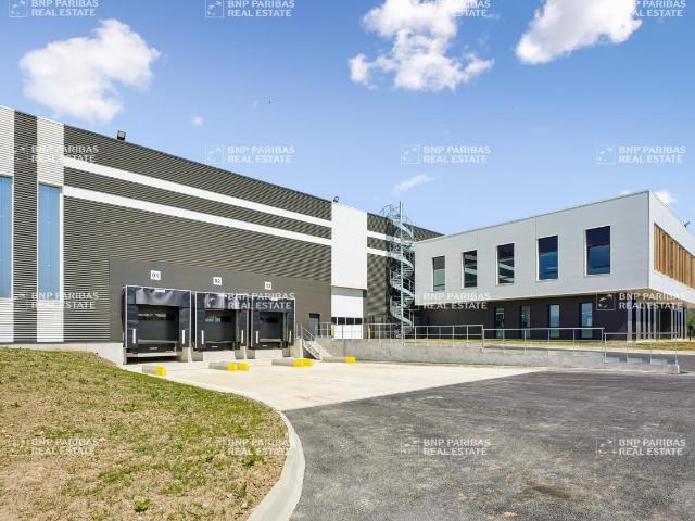 Local Commercial location à Palaiseau, Saint-germain-lès-arpajon