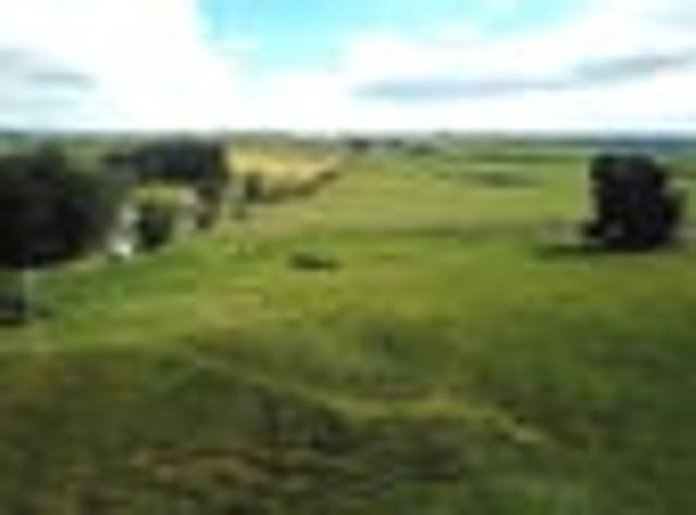 Land for sale in Otakou