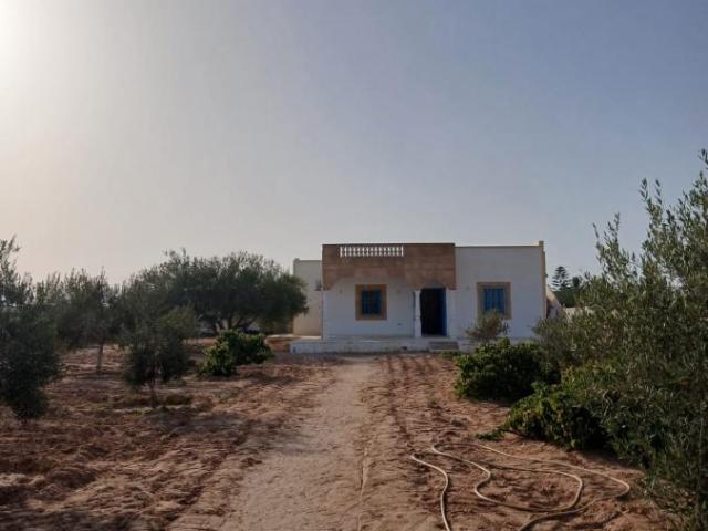 Maison location à Mahboubine, Djerba - Houmet Essouk