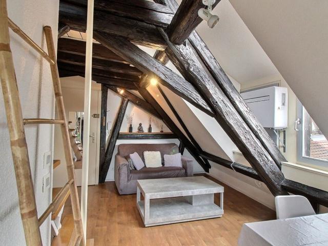 Appartement location à Colmar-Ribeauvillé, Colmar