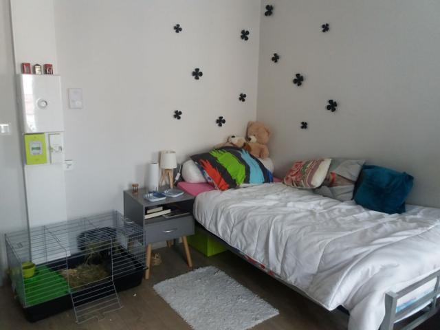 Appartement location à Albi