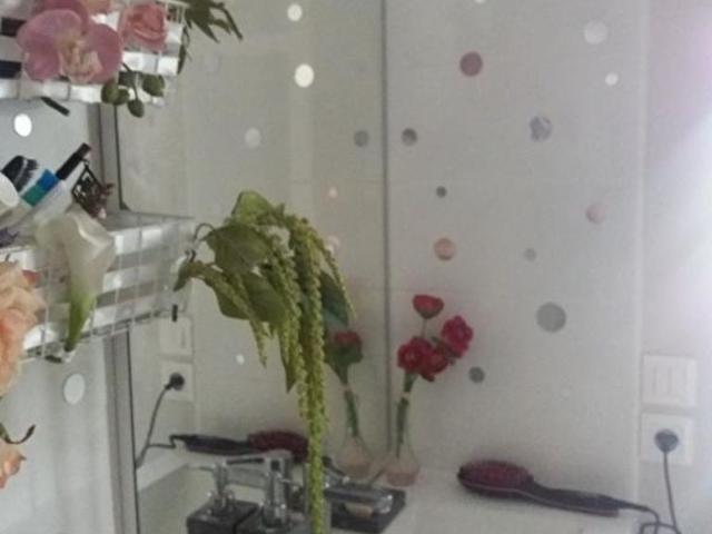 Appartement location à Albi