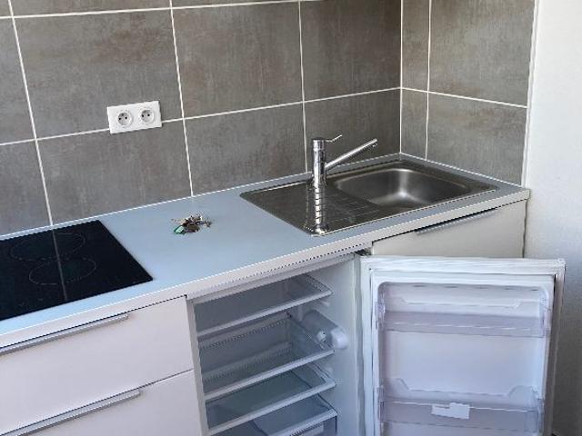 Appartement location à Strasbourg, Hoenheim