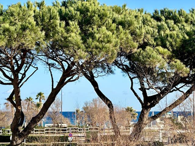 Appartement location à Arrondissement de Draguignan, Sainte-maxime