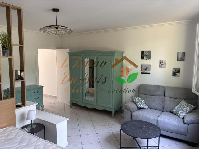 Appartement location à Vienne, Auvergne-Rhône-Alpes