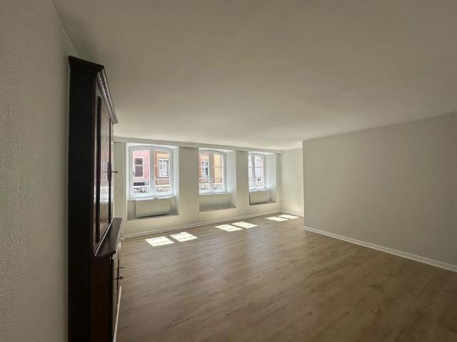Appartement location à Altkirch