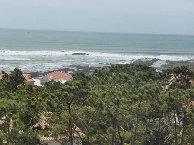 Appartement location à Les Sables-d'Olonne, Château-d'olonne