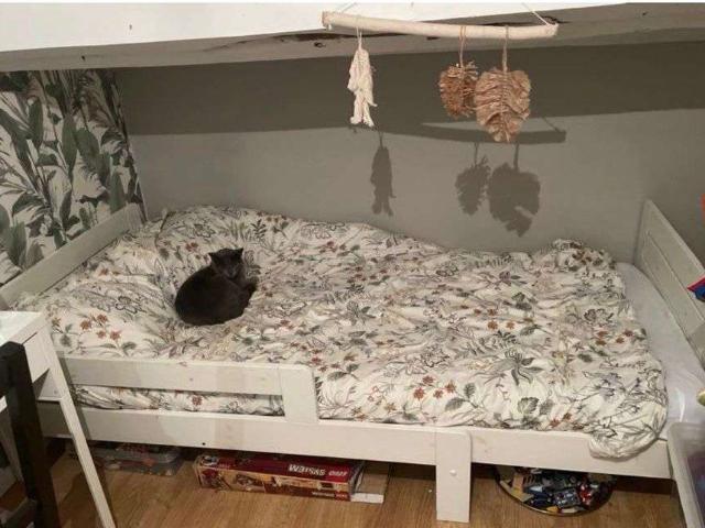 Appartement location à Montauban, Mas-grenier