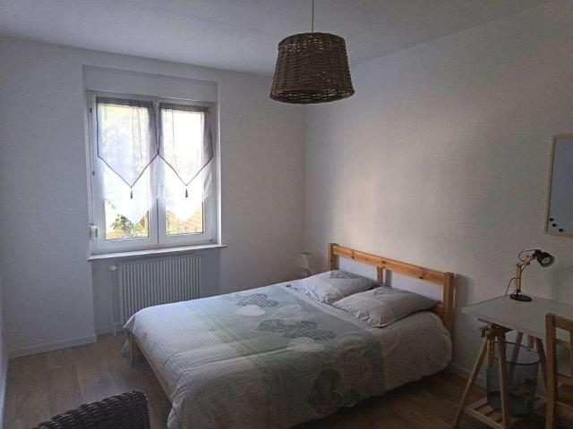 Appartement location à Mulhouse