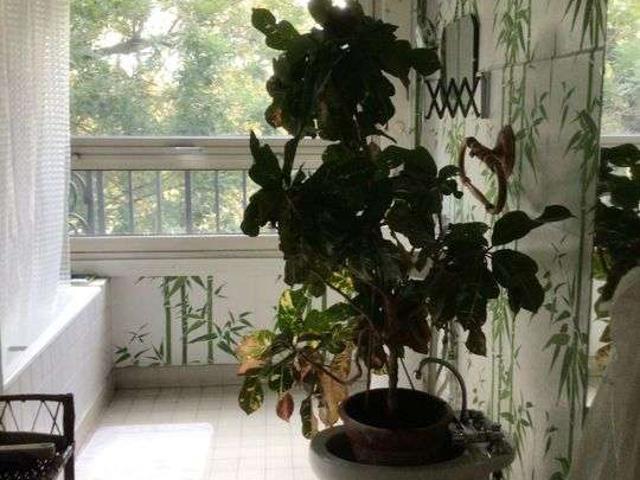 Appartement location à Nanterre, Neuilly-sur-seine