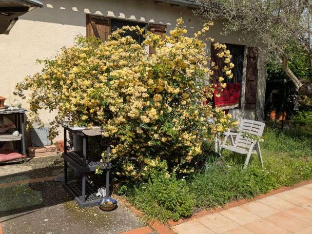 Appartement location à Toulouse