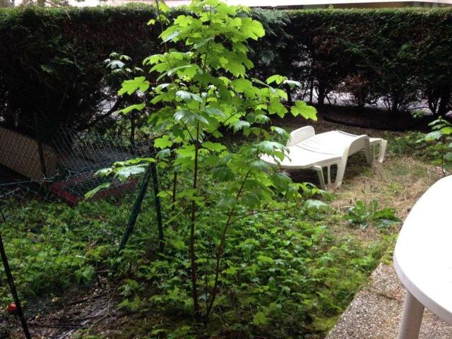 Appartement location à Palaiseau, Verrières-le-buisson