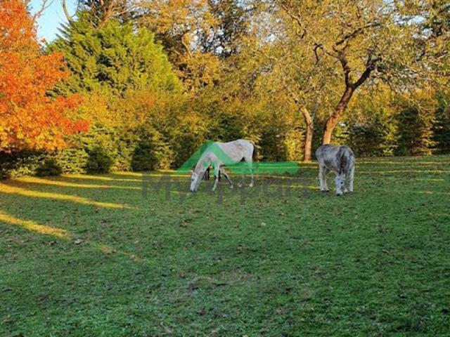 Appartement location à France métropolitaine, Bretagne