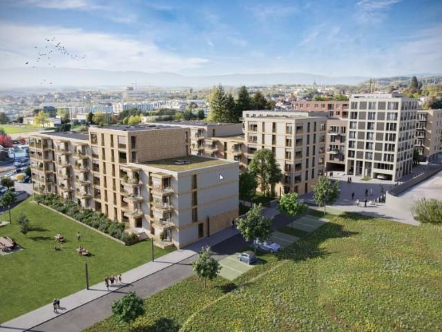 Apartment mieten in Mettmenstetten, Zürich