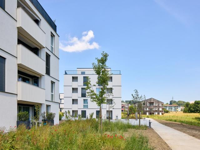 Apartment mieten in Waadt