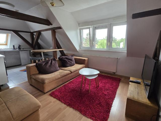 Appartement location à Haguenau-Wissembourg, Wissembourg